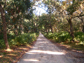 Cumberland Island Road